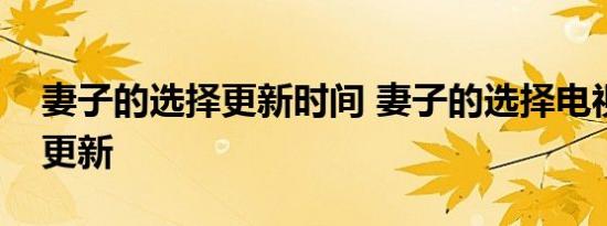 妻子的选择更新时间 妻子的选择电视剧周几更新