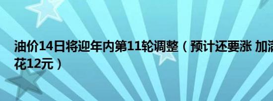 油价14日将迎年内第11轮调整（预计还要涨 加满一箱或多花12元）