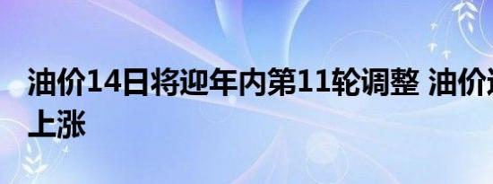油价14日将迎年内第11轮调整 油价还要继续上涨