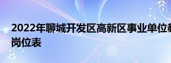 2022年聊城开发区高新区事业单位教师招聘岗位表