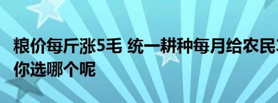 粮价每斤涨5毛 统一耕种每月给农民3000元！你选哪个呢