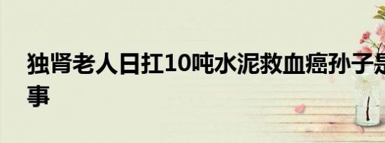 独肾老人日扛10吨水泥救血癌孙子是怎么回事