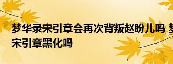梦华录宋引章会再次背叛赵盼儿吗 梦华录会宋引章黑化吗