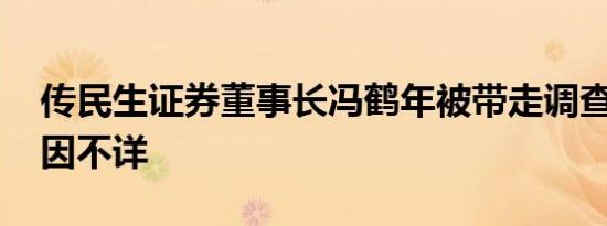 传民生证券董事长冯鹤年被带走调查 涉案原因不详