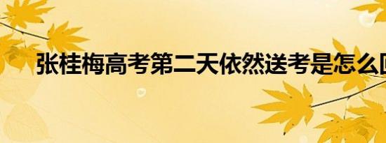 张桂梅高考第二天依然送考是怎么回事