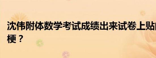 TP值是什么（tp是什么1还是0？tp是什么取向）