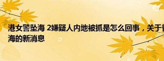 港女警坠海 2嫌疑人内地被抓是怎么回事，关于香港警察坠海的新消息