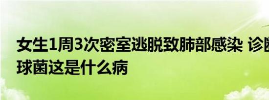 女生1周3次密室逃脱致肺部感染 诊断为肺隐球菌这是什么病