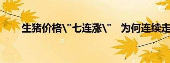 生猪价格