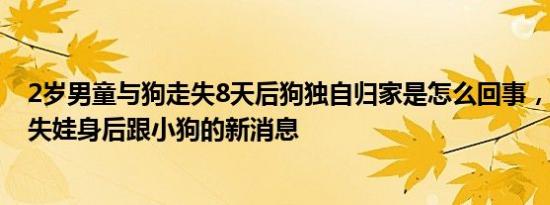 2岁男童与狗走失8天后狗独自归家是怎么回事，关于2岁走失娃身后跟小狗的新消息