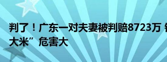判了！广东一对夫妻被判赔8723万 销售“毒大米”危害大