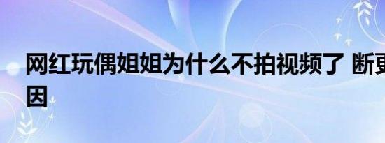 网红玩偶姐姐为什么不拍视频了 断更视频原因