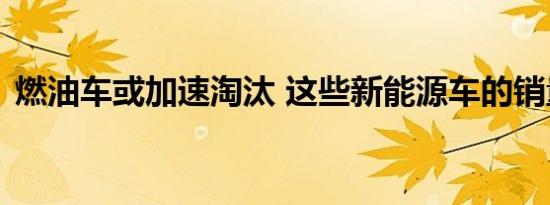 燃油车或加速淘汰 这些新能源车的销量暴增