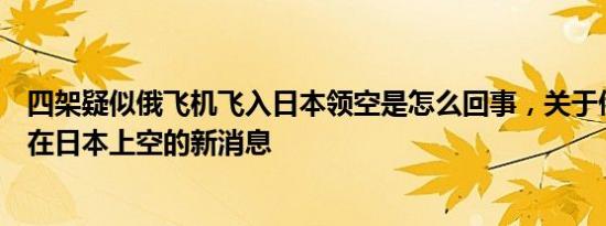 四架疑似俄飞机飞入日本领空是怎么回事，关于俄罗斯飞机在日本上空的新消息