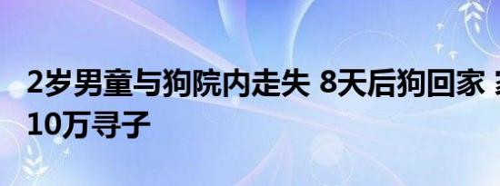 2岁男童与狗院内走失 8天后狗回家 家属悬赏10万寻子