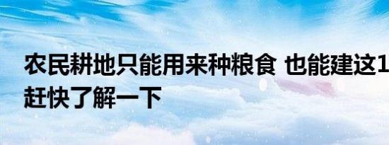 农民耕地只能用来种粮食 也能建这10样建筑赶快了解一下