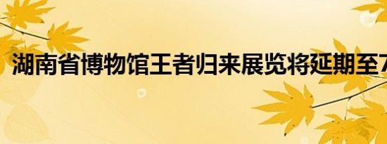 湖南省博物馆王者归来展览将延期至7月3日
