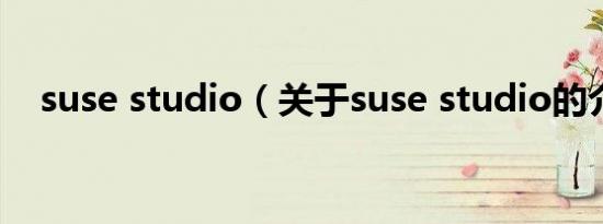 suse studio（关于suse studio的介绍）