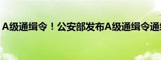 A级通缉令！公安部发布A级通缉令通缉12人