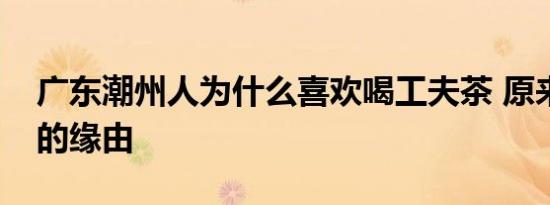 广东潮州人为什么喜欢喝工夫茶 原来有这样的缘由