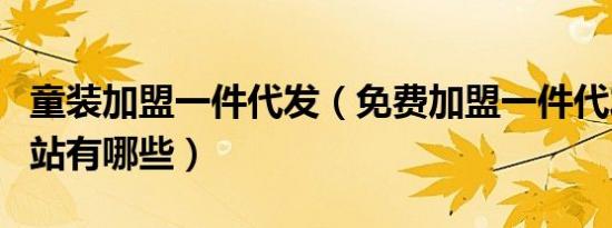 童装加盟一件代发（免费加盟一件代发货源网站有哪些）
