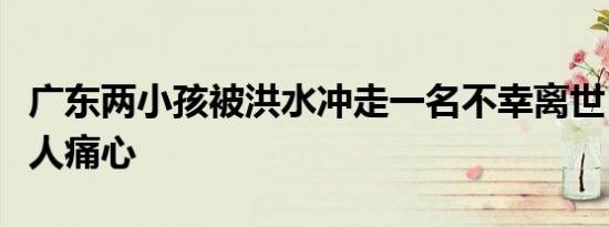 广东两小孩被洪水冲走一名不幸离世！悲剧令人痛心