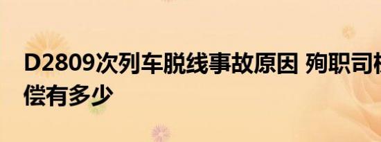 D2809次列车脱线事故原因 殉职司机杨勇赔偿有多少