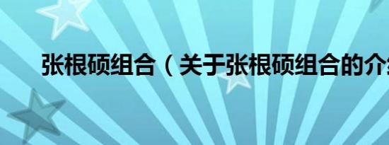 张根硕组合（关于张根硕组合的介绍）