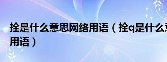 拴是什么意思网络用语（拴q是什么意思网络用语）