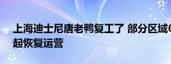 上海迪士尼唐老鸭复工了 部分区域6月10日起恢复运营