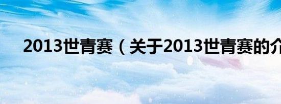 2013世青赛（关于2013世青赛的介绍）