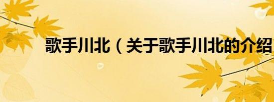 歌手川北（关于歌手川北的介绍）