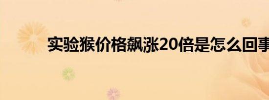 实验猴价格飙涨20倍是怎么回事