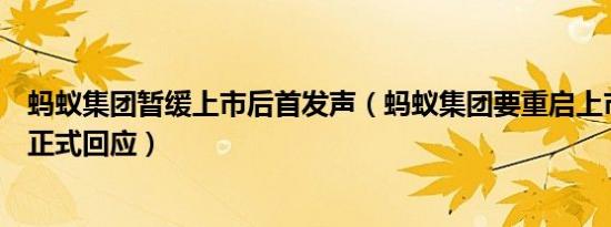 蚂蚁集团暂缓上市后首发声（蚂蚁集团要重启上市吗？官方正式回应）
