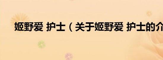 姬野爱 护士（关于姬野爱 护士的介绍）