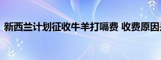 新西兰计划征收牛羊打嗝费 收费原因是什么
