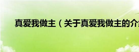 真爱我做主（关于真爱我做主的介绍）