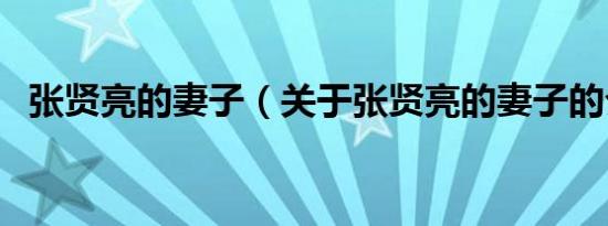 张贤亮的妻子（关于张贤亮的妻子的介绍）
