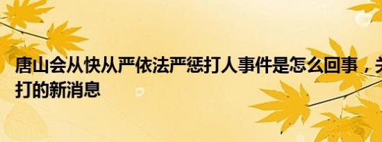 唐山会从快从严依法严惩打人事件是怎么回事，关于唐山 严打的新消息