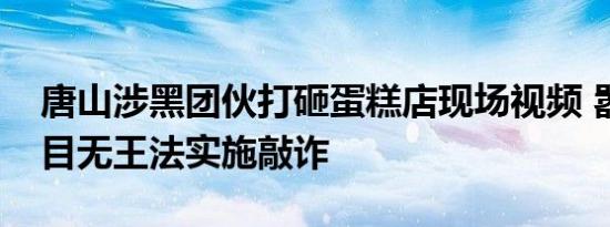 唐山涉黑团伙打砸蛋糕店现场视频 嚣张跋扈目无王法实施敲诈