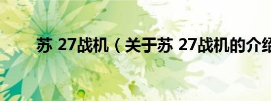 苏 27战机（关于苏 27战机的介绍）