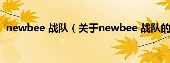 newbee 战队（关于newbee 战队的介绍）