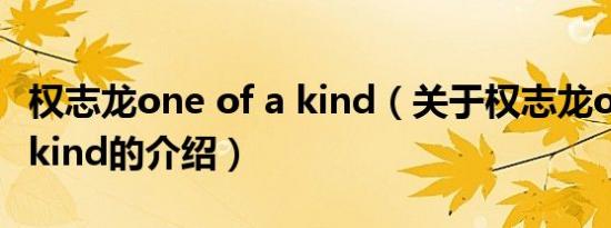 权志龙one of a kind（关于权志龙one of a kind的介绍）