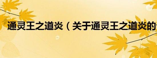 通灵王之道炎（关于通灵王之道炎的介绍）