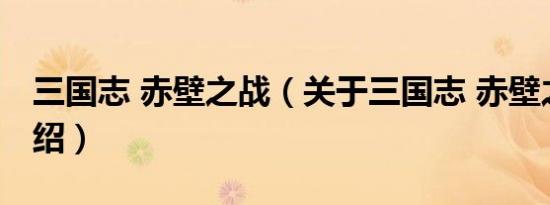 三国志 赤壁之战（关于三国志 赤壁之战的介绍）