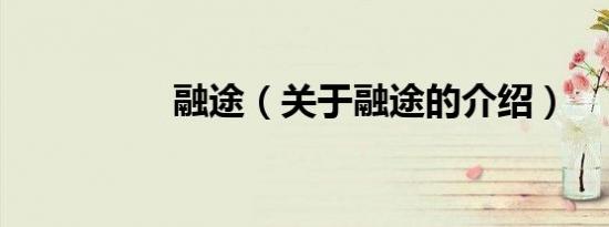 融途（关于融途的介绍）