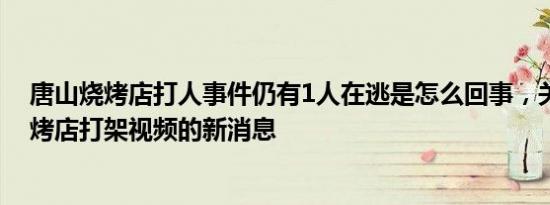 唐山烧烤店打人事件仍有1人在逃是怎么回事，关于唐山烧烤店打架视频的新消息