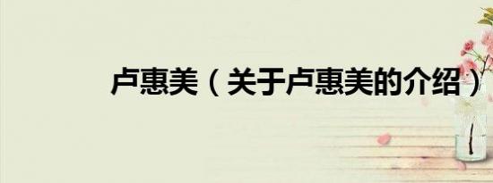 卢惠美（关于卢惠美的介绍）
