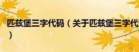 匹兹堡三字代码（关于匹兹堡三字代码的介绍）