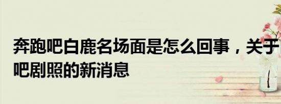 奔跑吧白鹿名场面是怎么回事，关于白鹿奔跑吧剧照的新消息